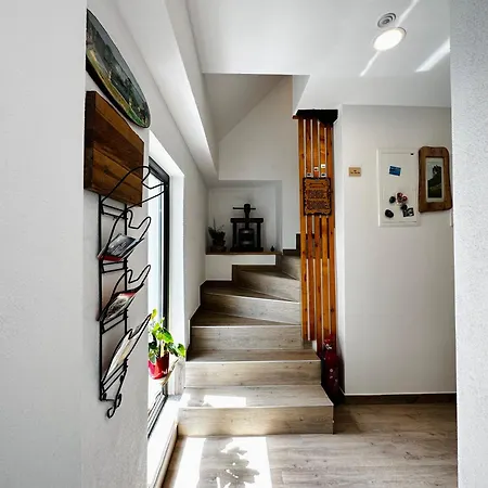 Slovenian House Vida