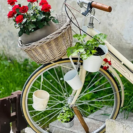 住宿加早餐酒店 Slovenian House Vida 3*