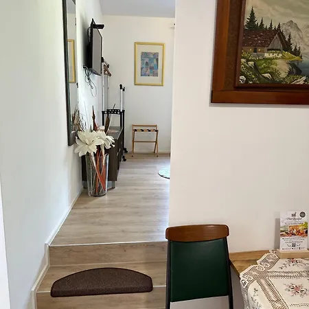 Slovenian House Vida