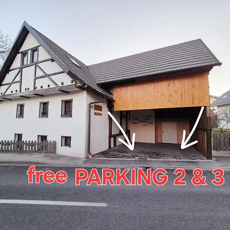 فندق مبيت وإفطار Slovenian House Vida 3*