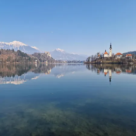 Slovenian House Vida 3*