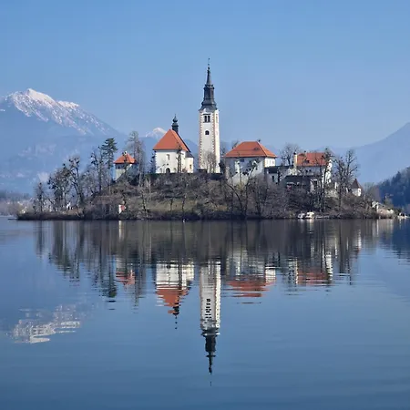 Slovenian House Vida