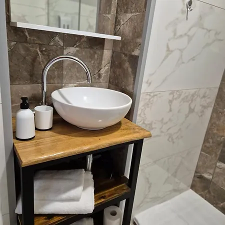 住宿加早餐酒店 Slovenian House Vida