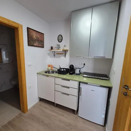 住宿加早餐酒店 Slovenian House Vida 布莱德