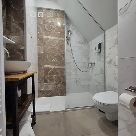 Slovenian House Vida 3* 布莱德