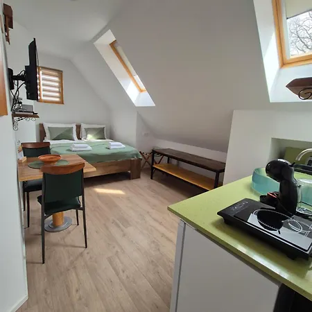 Slovenian House Vida Bed & Breakfast