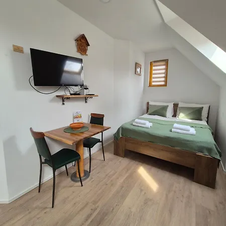 ベッド・アンド・ブレックファスト Slovenian House Vida