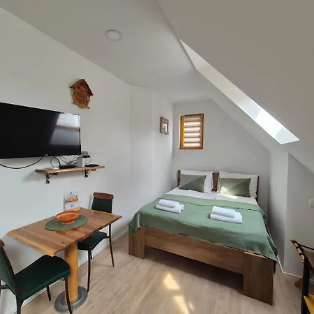 ベッド・アンド・ブレックファスト Slovenian House Vida 3*