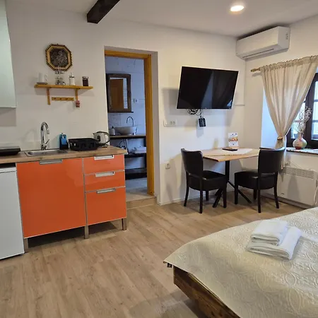 Slovenian House Vida