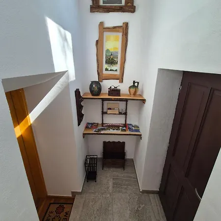Slovenian House Vida