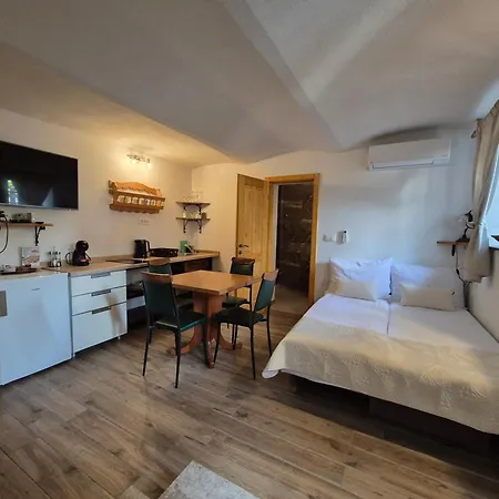 Slovenian House Vida