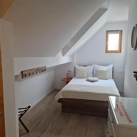 Slovenian House Vida 3* בלד