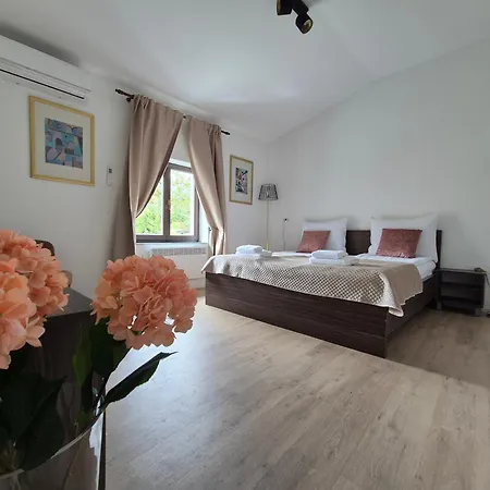 Couette-café Slovenian House Vida 3*