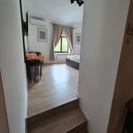 Nocleg ze śniadaniem Slovenian House Vida 3*