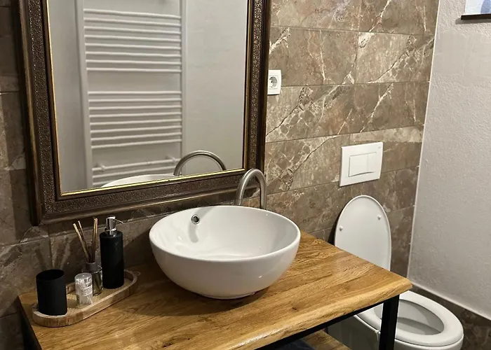 فندق مبيت وإفطار Slovenian House Vida 3*