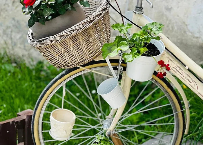 فندق مبيت وإفطار Slovenian House Vida 3*