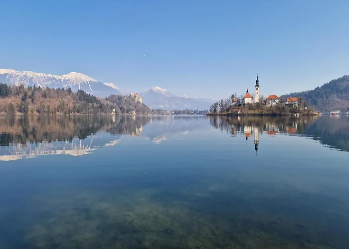 Slovenian House Vida 3*