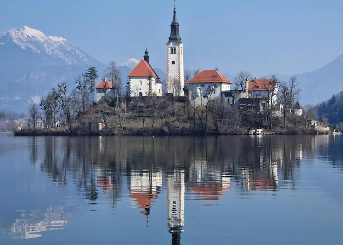 Slovenian House Vida