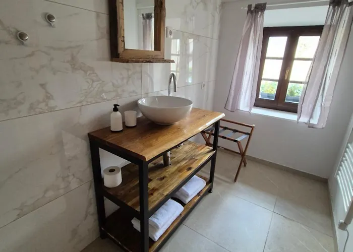 Nočitev z zajtrkom Slovenian House Vida 3*