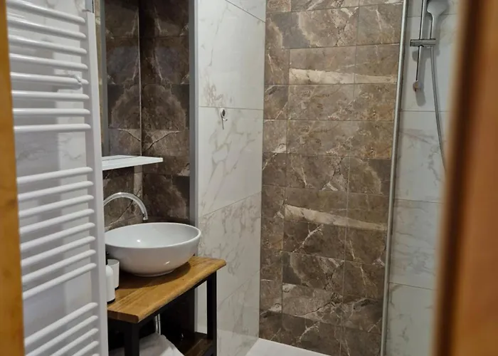 فندق مبيت وإفطار Slovenian House Vida بليد