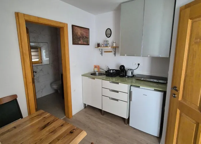 فندق مبيت وإفطار Slovenian House Vida 3*