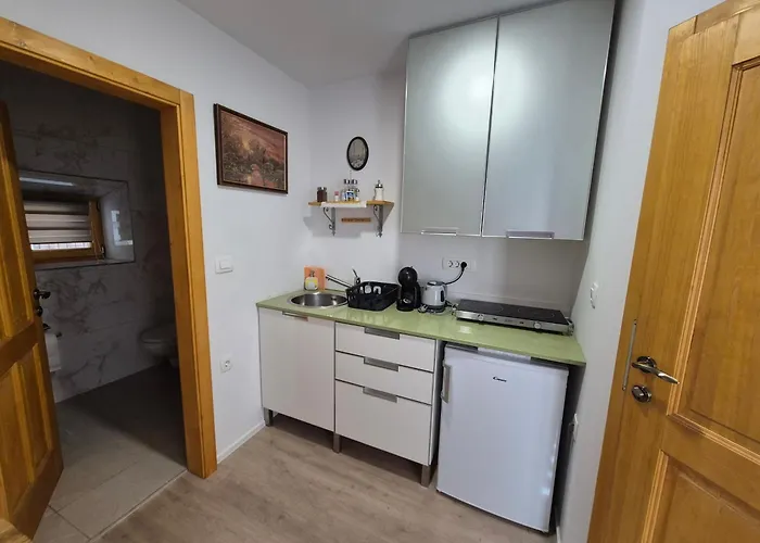 فندق مبيت وإفطار Slovenian House Vida بليد