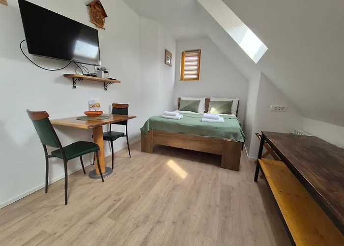 Slovenian House Vida