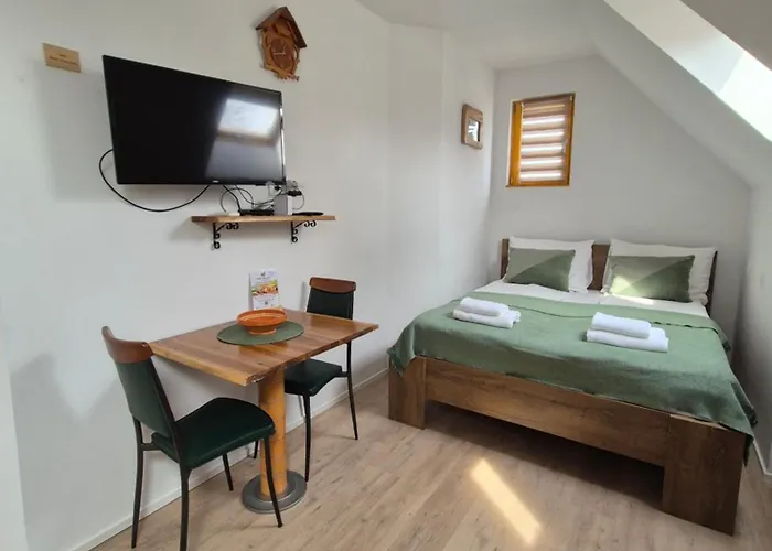 فندق مبيت وإفطار Slovenian House Vida