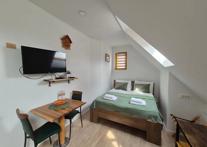 فندق مبيت وإفطار Slovenian House Vida 3*