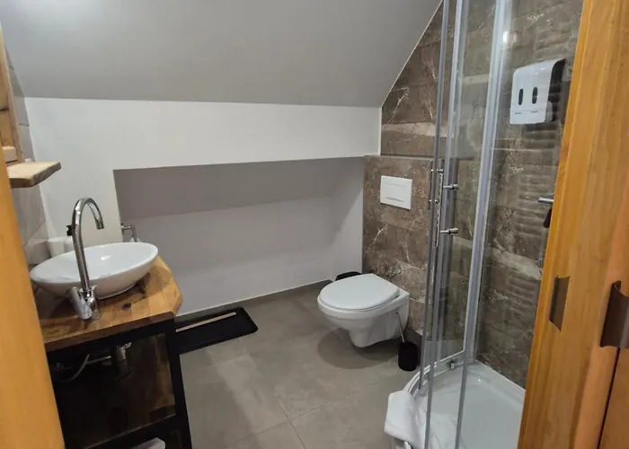 فندق مبيت وإفطار Slovenian House Vida بليد