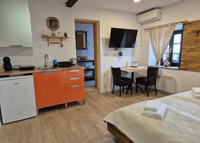 Slovenian House Vida