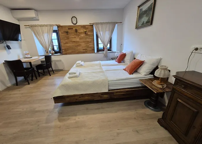 Slovenian House Vida Nočitev z zajtrkom 3*