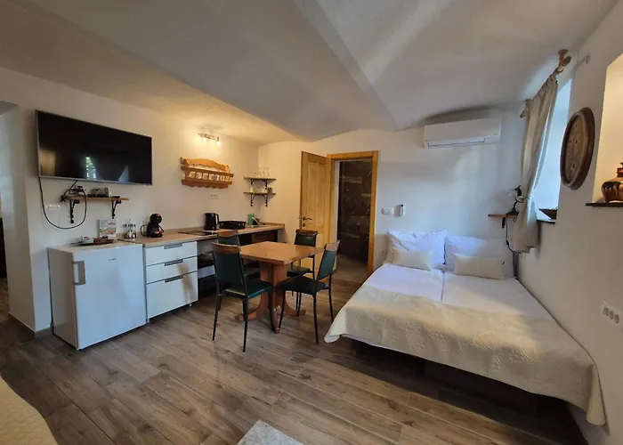 Slovenian House Vida